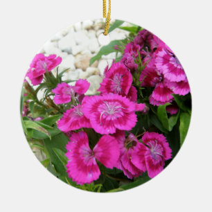 Rosa Dianthus/süßer William Keramik Ornament