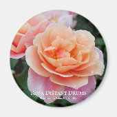 Rosa Distant Drums Magnet (Vorne)