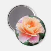 Rosa Distant Drums Magnet (Vorderseite/Rückseite)