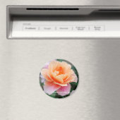 Rosa Distant Drums Magnet (In Situ (Geschirrspüler))
