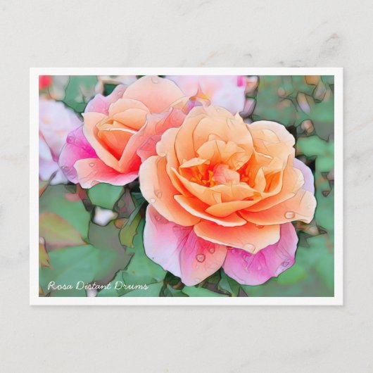 Rosa Distant Drums Postkarte (Vorderseite)