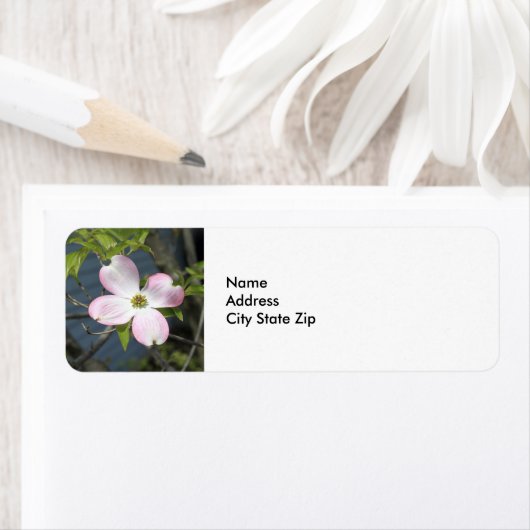 Rosa Dogwood 1483 (Insitu)