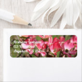 Rosa Dogwood-Blume blüht Maladresse (Insitu)