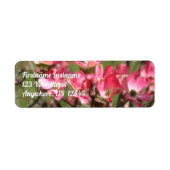 Rosa Dogwood-Blume blüht Maladresse (Vorne)