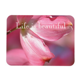 Rosa Dogwood-Blume Magnet