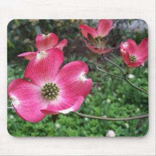 Rosa Dogwood Blume Mousepad
