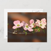 Rosa Dogwood-Blume Postkarte (Vorne/Hinten)