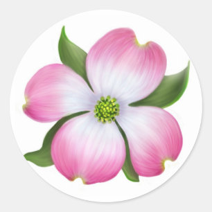 Rosa Dogwood-Blume Runder Aufkleber