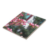 Rosa Dogwood Fliese (Seite)