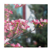 Rosa Dogwood Fliese (Vorderseite)