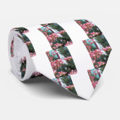 Rosa Dogwood Krawatte (Gerollt)