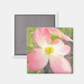 Rosa Dogwood Magnet (Vorderseite/Rückseite)