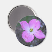 Rosa Dogwood Magnet (Vorderseite/Rückseite)