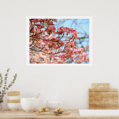 Rosa Dogwood Trees Blume Kunstdrucke botanisch Poster (Küche)