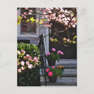 Rosa Dogwood und Pots of Geraniums Postkarte