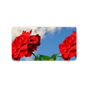 Rosa Don Juan mit blauem Himmel Adressaufkleber