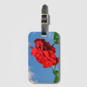 Rosa Don Juan mit blauem Himmel Gepäckanhänger (Vorderseite Vertikal)