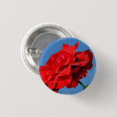 Rosa Don Juan Rose mit blauem Himmel Button (Vorne & Hinten)