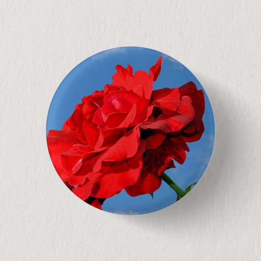 Rosa Don Juan Rose mit blauem Himmel Button (Vorderseite)