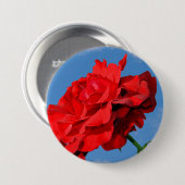 Rosa Don Juan Rose mit blauem Himmel Button (Vorne & Hinten)