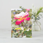 Rosa Double Delight: Flat Card (Stehend Vorderseite)