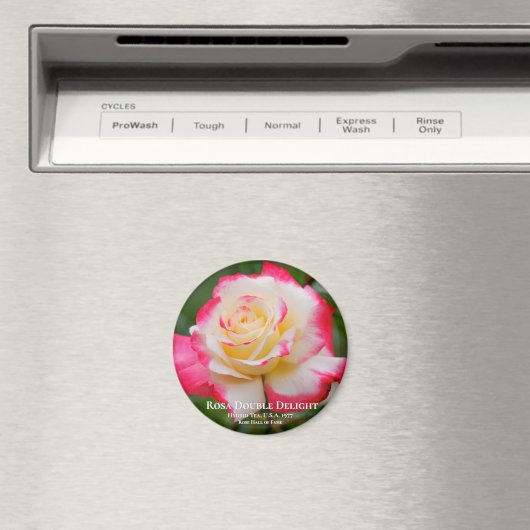 Rosa Double Delight Magnet (In Situ (Geschirrspüler))