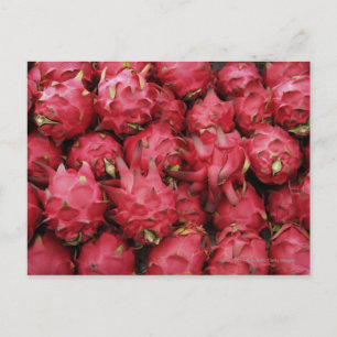 Rosa Dragonfruit zusammengesteckt Postkarte