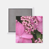 Rosa Drehung-n-Shout Endless Summer Hydrangea Magnet (Vorderseite/Rückseite)
