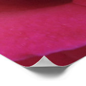 Rosa-Druck Poster (Ecke)