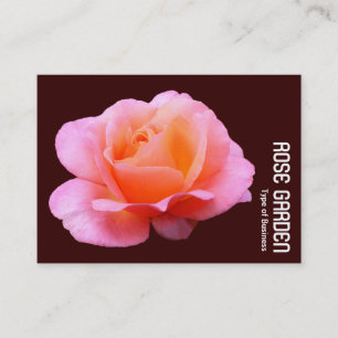 Rosa (dunkle Schokolade) Visitenkarte