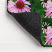 Rosa Echinacea auf grünem Mousepad (Ecke)