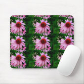 Rosa Echinacea auf grünem Mousepad (Mit Mouse)