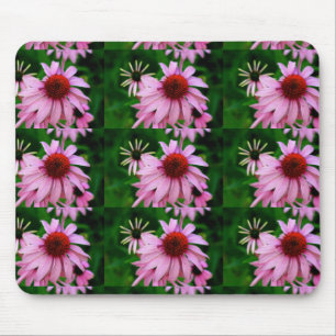 Rosa Echinacea auf grünem Mousepad