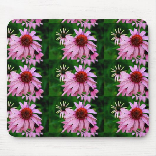 Rosa Echinacea auf grünem Mousepad (Vorne)