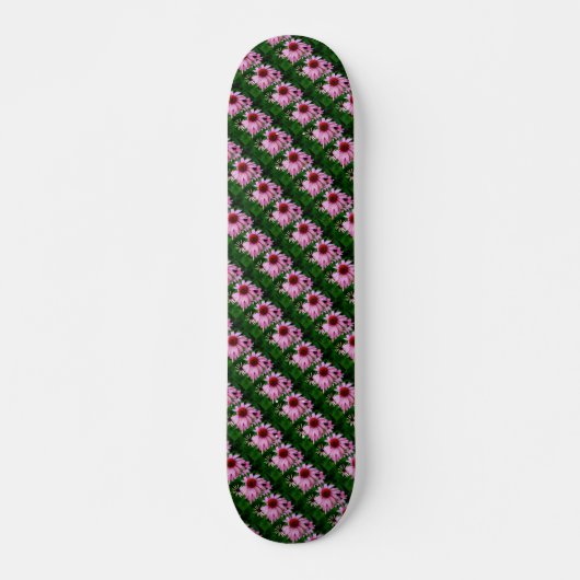 Rosa Echinacea-Blume auf der grünen Skateboard (Vorne)