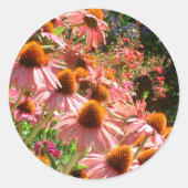 Rosa Echinacea-Blume Aufkleber für Umschlag Aufkle (Vorderseite)