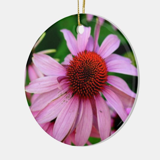 Rosa Echinacea-Blume Keramikornament (Links)