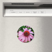 Rosa Echinacea-Blume-Magnet Magnet (In Situ (Geschirrspüler))