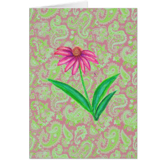 ROSA ECHINACEA PAISLEY