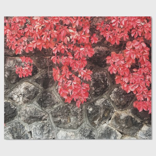 Rosa Efeu Blätter Herbststeinwand Geschenkpapier (Flach)