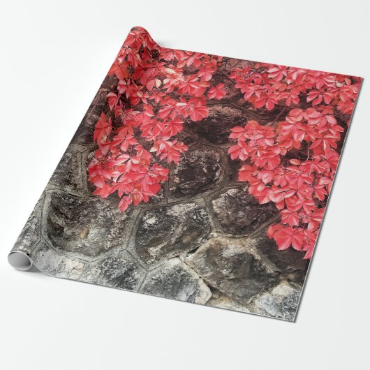 Rosa Efeu Blätter Herbststeinwand Geschenkpapier (Ungerollt)