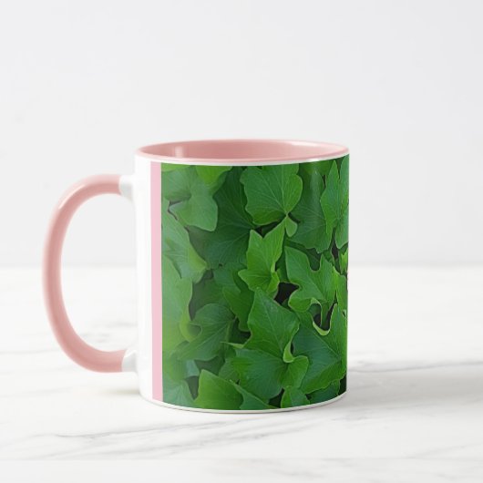 Rosa Efeu-Tasse Tasse (Links)