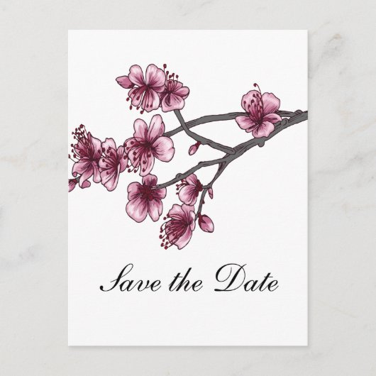 Rosa einfache Kirschblüten Save the Date Postkarte (Vorderseite)