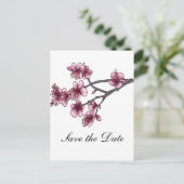 Rosa einfache Kirschblüten Save the Date Postkarte (Stehend Vorderseite)