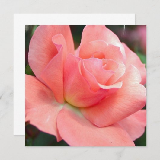 Rosa Einladungen (Vorne/Hinten)