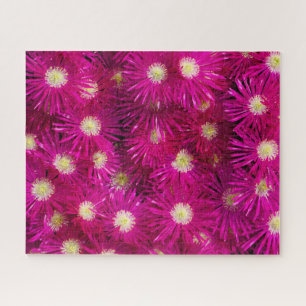 Rosa Eis Pflanze Blume Puzzle