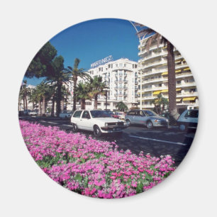 Rosa Elegant Boulevard de Croisette, Cannes-Blume Magnet