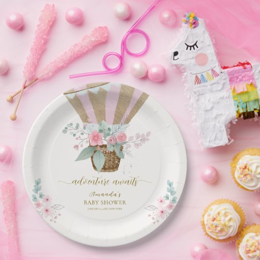 Rosa Elegant Floral Hot Air Ballon Babydusche Pappteller (Party)