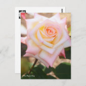 Rosa Elegant Lady [Postcard] Postkarte (Vorne/Hinten)