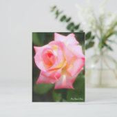 Rosa Elegant Lady [Postcard] Postkarte (Stehend Vorderseite)